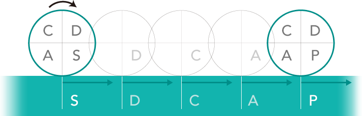 SDCAP図