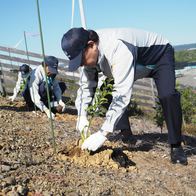 「しずおか未来の森サポーター」活動　千浜海岸の防潮堤に植樹を行いました