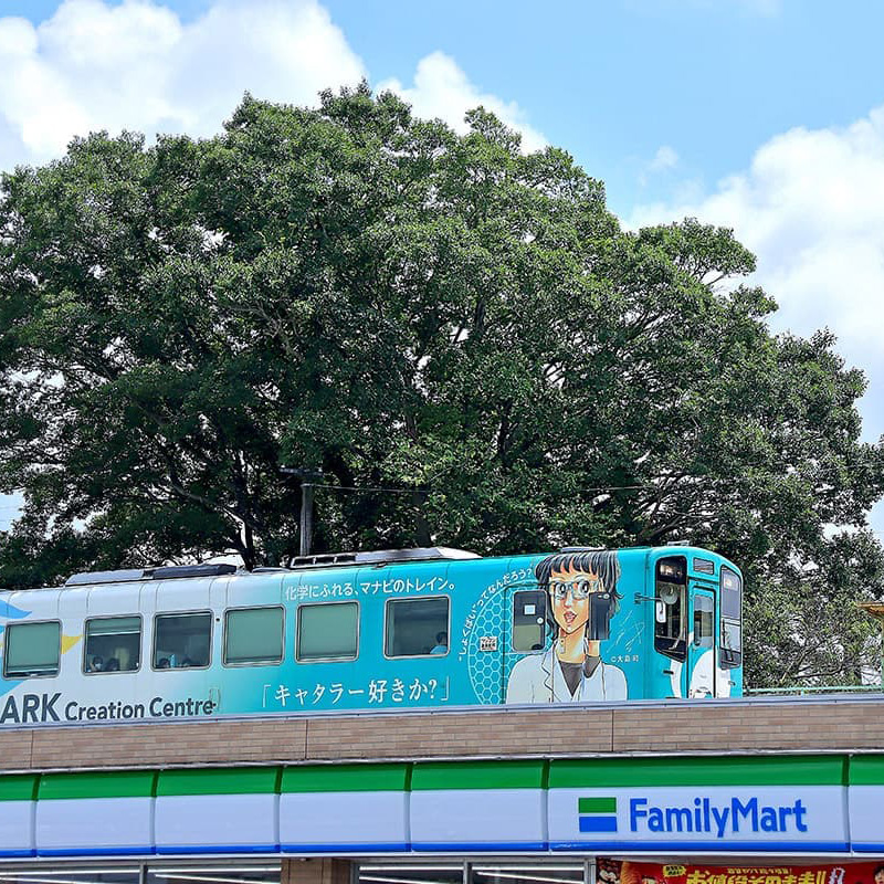 #私のキャタライナー