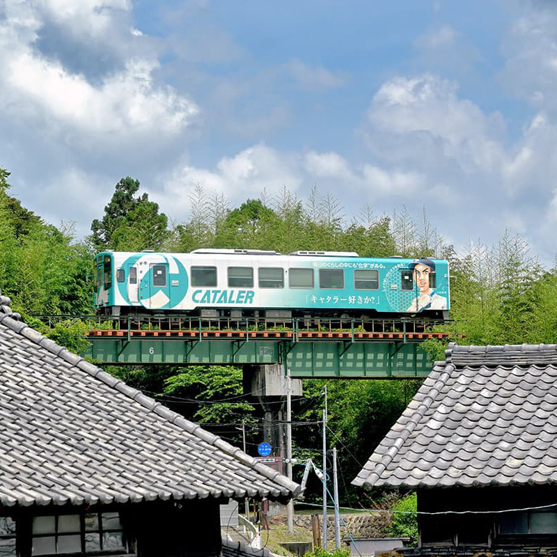 #私のキャタライナー